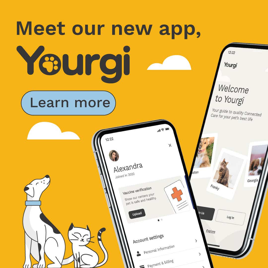 Yourgi app